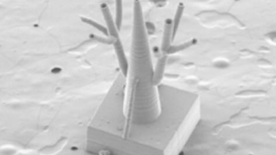 具有毛細血管的3D打印微生物反應器