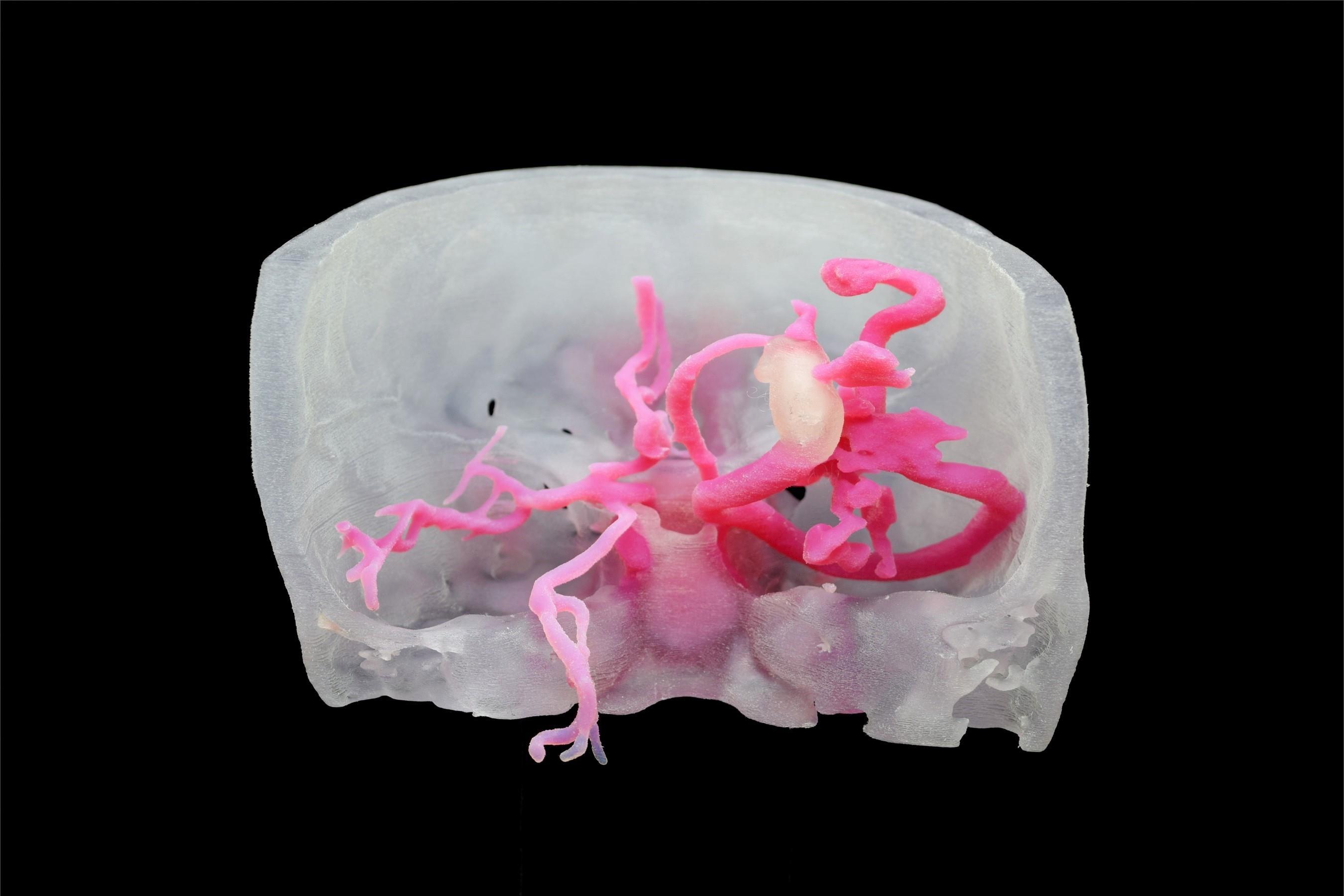 生物3D打印：革命性的醫療技術