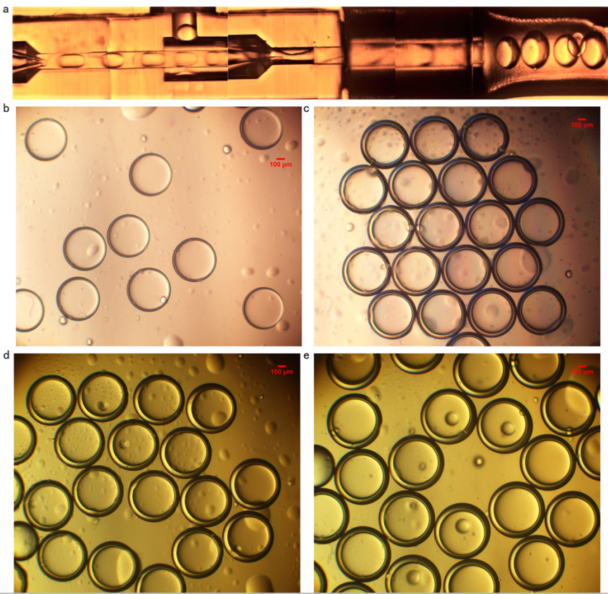 《Journal of Food Engineering》：利用微納微尺度3D打印技術制備微流控液滴生成芯片
