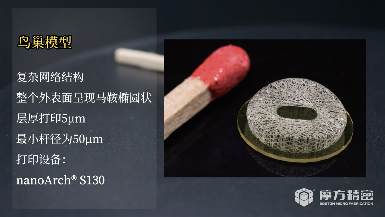 微點陣結構（鳥巢模型）