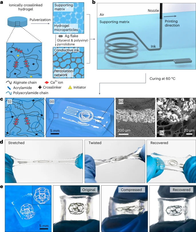 西湖大學周南嘉/陶亮合作：3D打印軟水凝膠電子器件！
