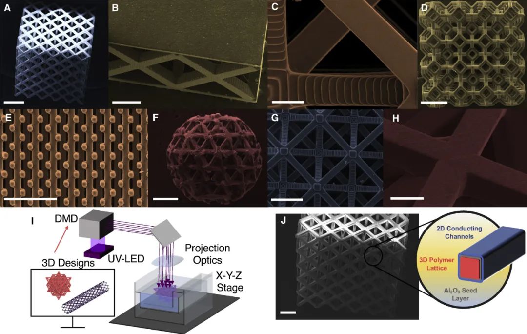 美國達特茅斯學院《Cell Rep. Phys. Sci.》：基于PμSL 3D打印的導電點陣結構用于多模態傳感器