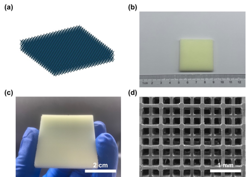 面投影微立體光刻技術3D打印樹脂結構作為超材料模板