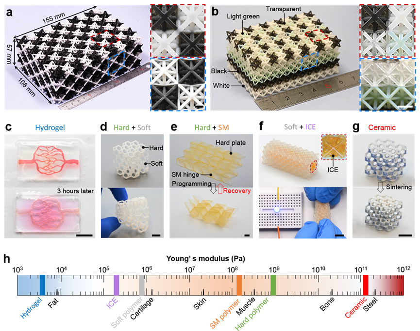 南方科技大學葛锜副教授：離心式DLP多材料3D打印