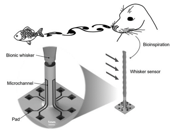 北京航空航天大學蔣永剛課題組《Soft Robotics》：基于PμSL 3D打印技術制備的波形人工觸須傳感器用于不同流體的分析