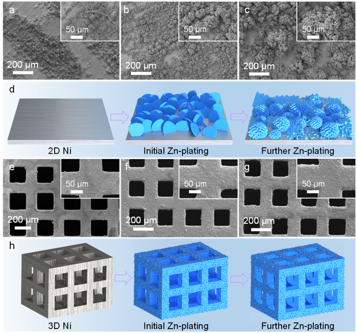 在2D Ni、3D Ni電極表面沉積不同容量鋅的SEM照片與相應示意圖