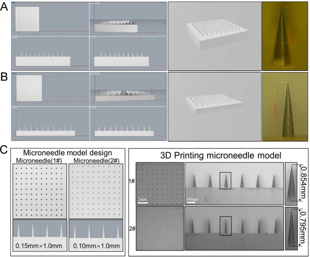 微針陣列模型的設計與3D打印