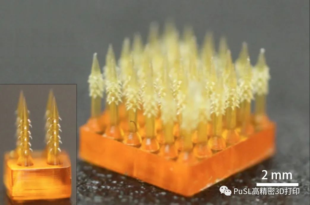 3D打印仿生微針