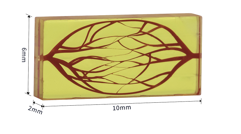 微流控3D打印-微流控樣件