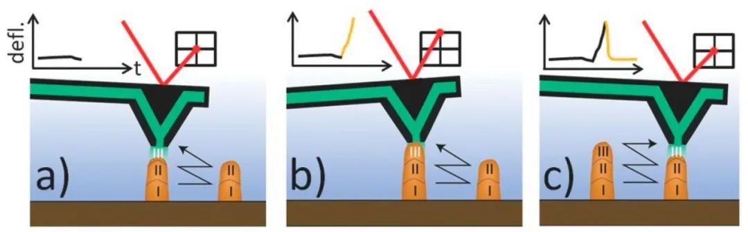 基于力學控制的電化學沉積3D打印技術制備兩個并排支柱的示意圖